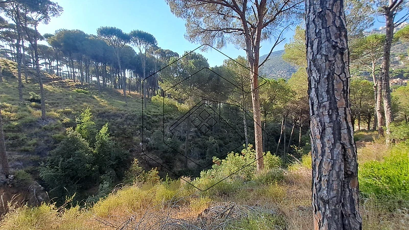 GM517NY Land for sale in Baabdat Dlaybe -أرض للبيع في بعبدات – ضليبة GM517NY Land for sale in Baabdat Dlaybe -أرض للبيع في بعبدات – ضليبة
