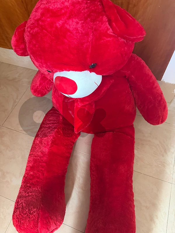 giant bear