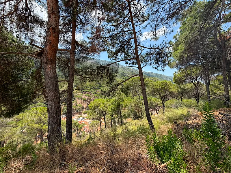 Land for Sale in Bsefrine| Mountain View أرض للبيع في بسفرين