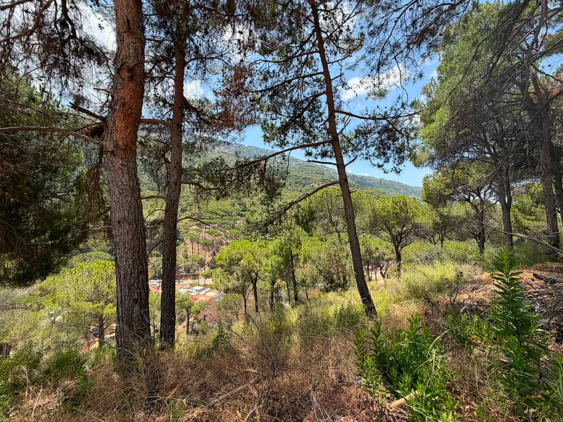 Land for Sale in Bsefrine | Mountain View أرض للبيع في بسفرين
