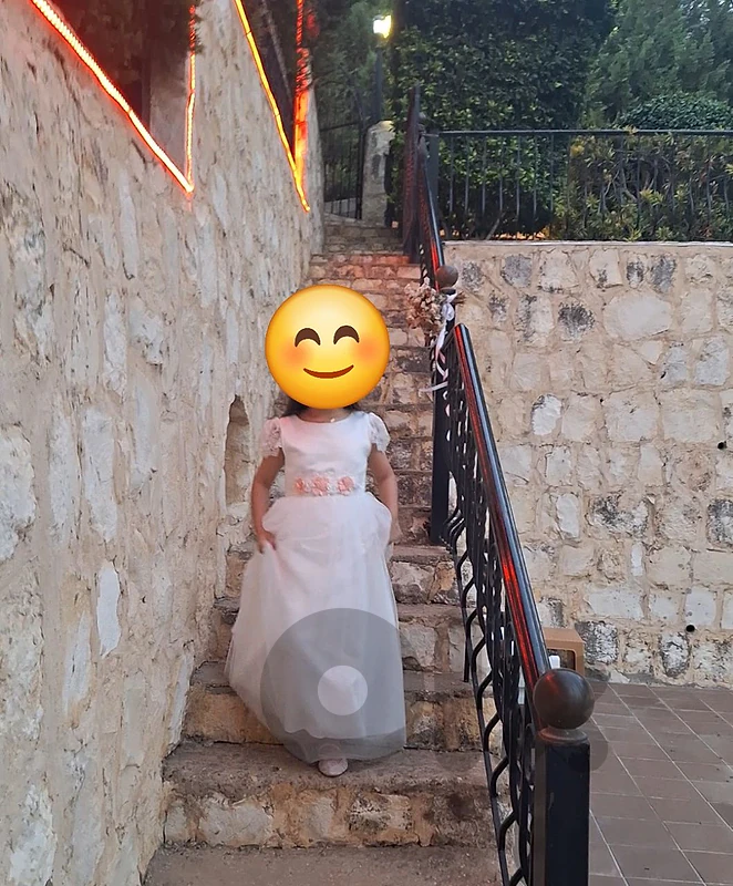 Girl party dress