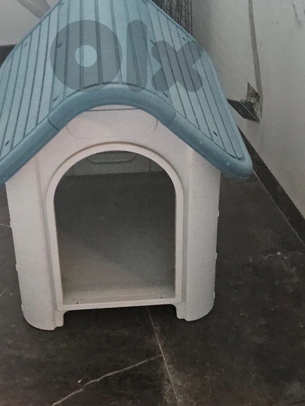 shelter for dogs