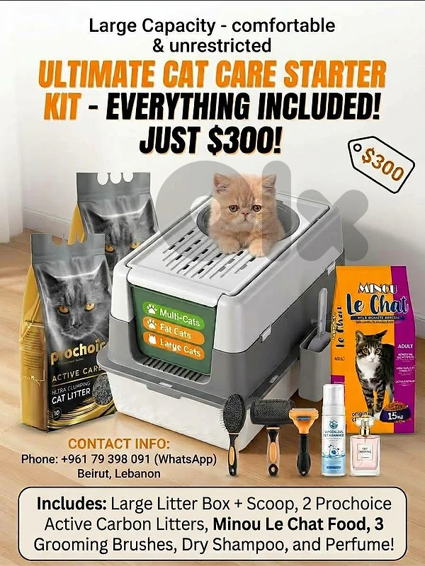 Ultimate Cat Care Starter Kit + 6-Month-Old Peke-Face Persian Kitten!
