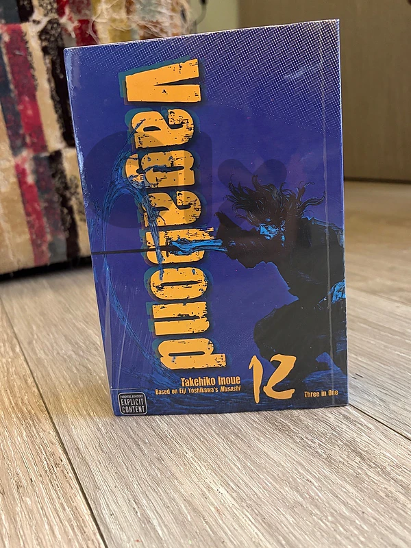 vagabond vizbig volume 12