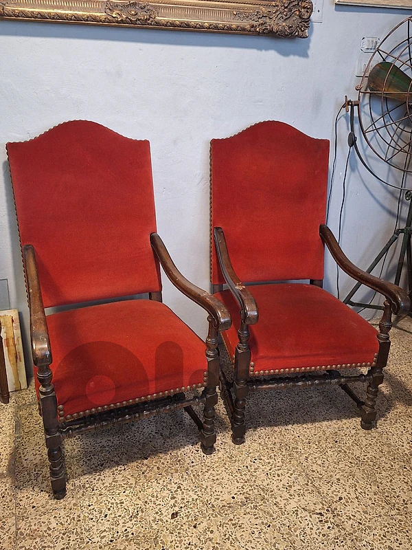 pair of french bergers
