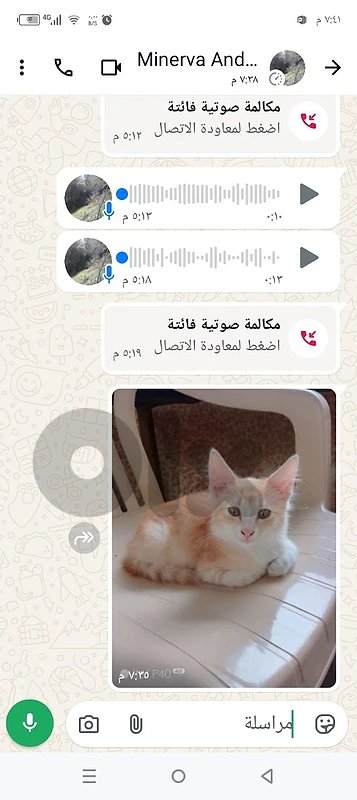 برومانا