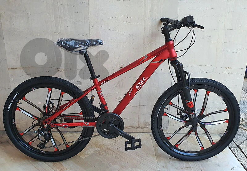 size 24" Vitesse 21 speed (brand new)