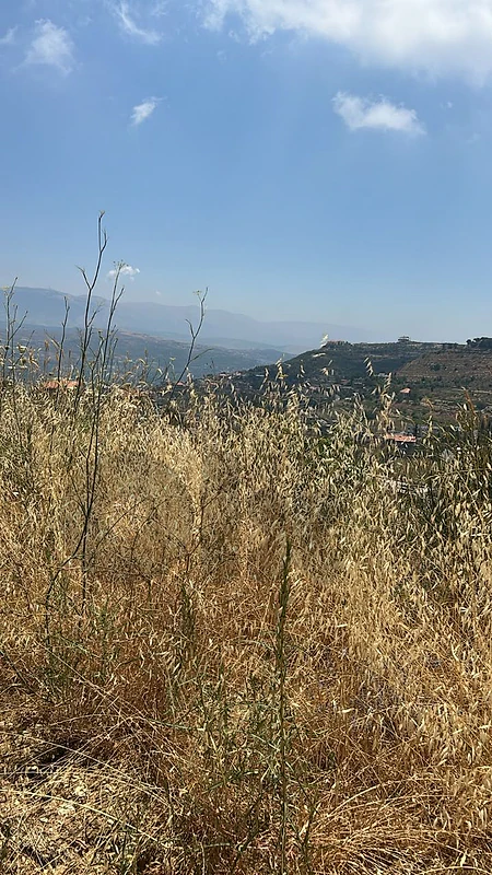 1000sqm land+Building for sale in Bhamdoun