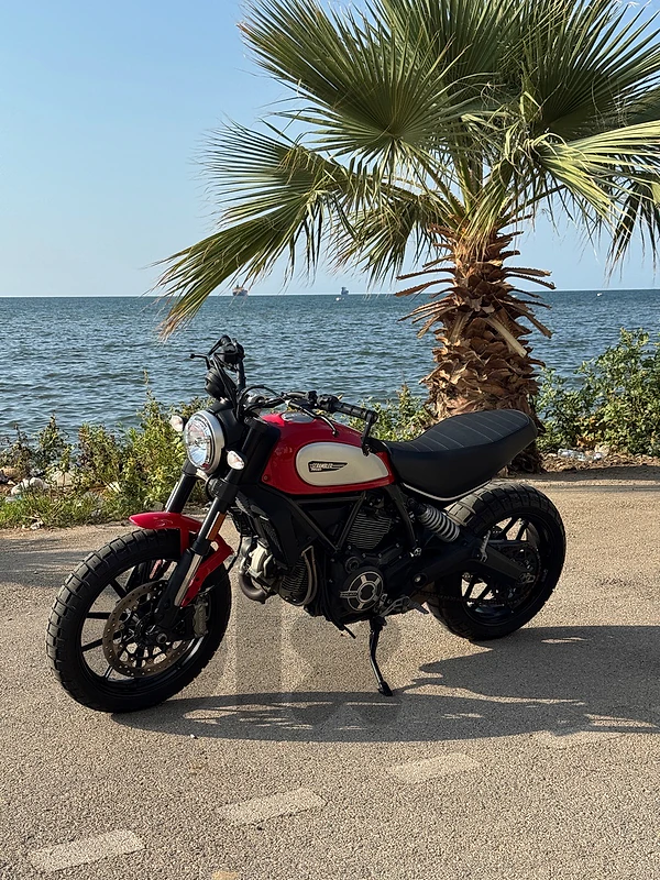 Ducati scrambler 800