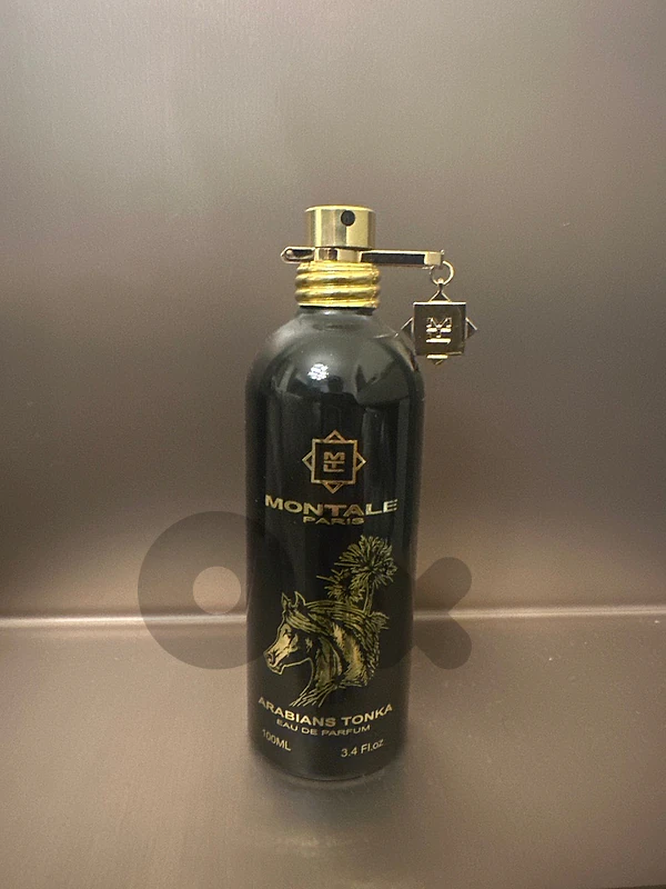 montale arabians tonka