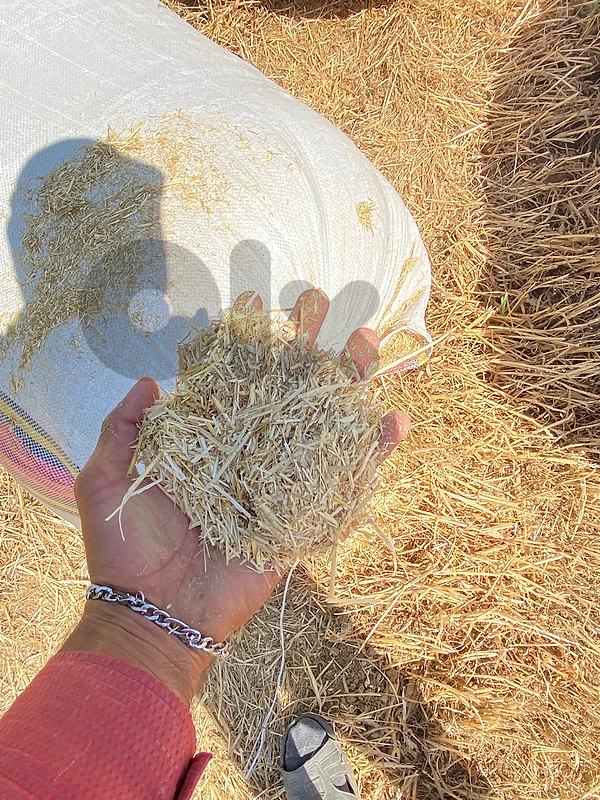 جميه انواع التبن والأعلاف ولحبوب