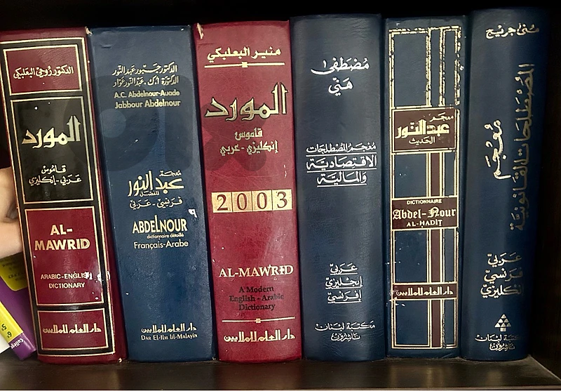 6 Dictionaries for Translation Students in all languuages