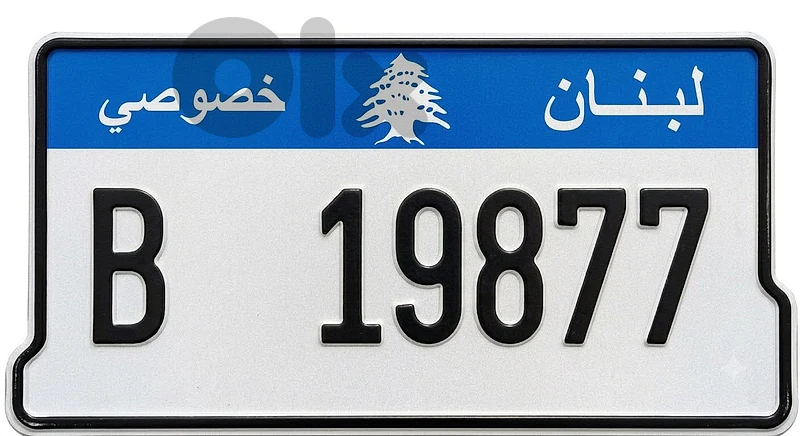 B  19877