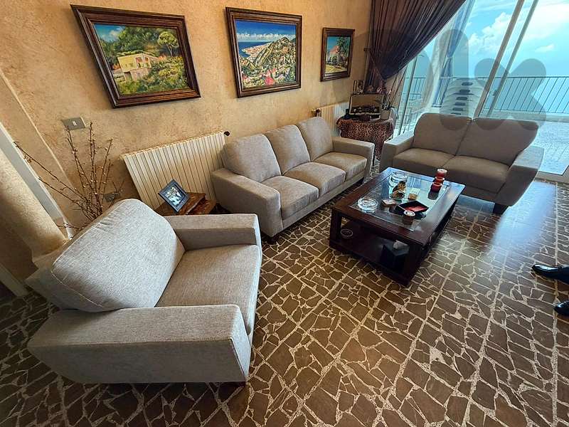 Newly Renovated sofas