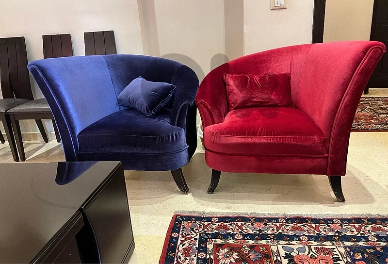 two chairs for salon