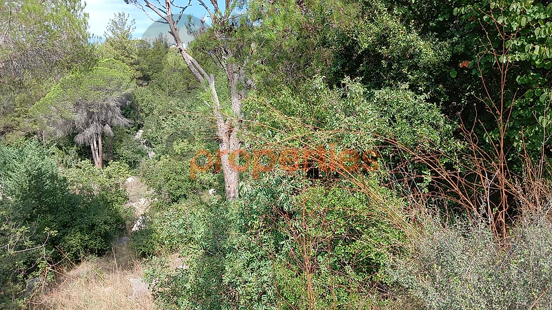 Land For Sale In Ouyoun Broumana أرض للبيع في عيون برمانا CPSK136