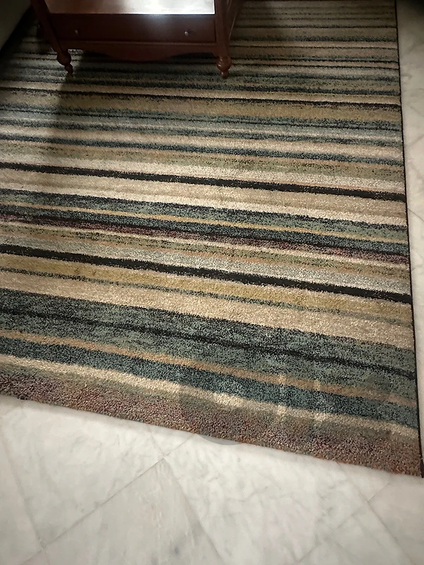 2*2.9 m carpet for living room or bedroom