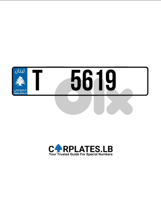 T 5619