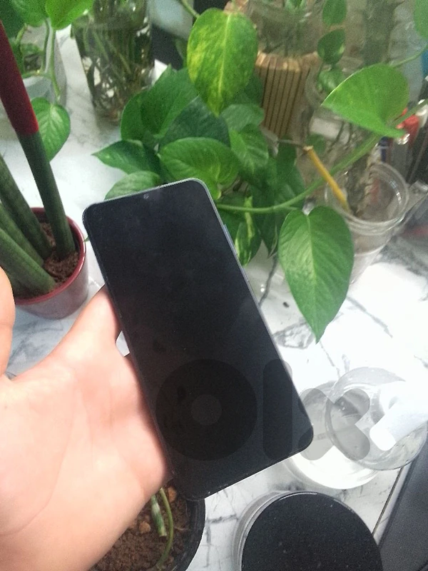 Phone s