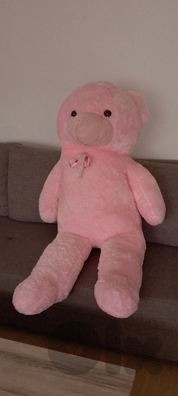 teddy bear 🧸