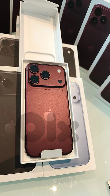 18 Pro Max Burgundy not active