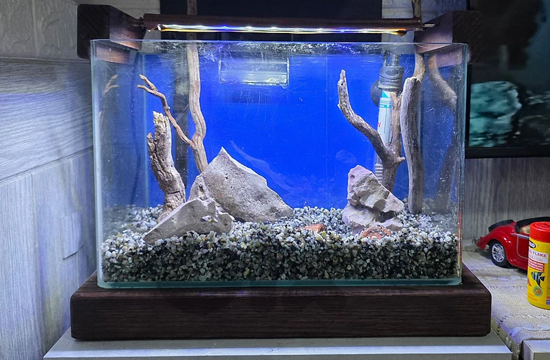 Aquarium Fish Tank اكواريوم حوض سمك