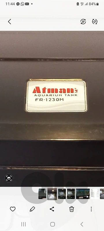 aquarium