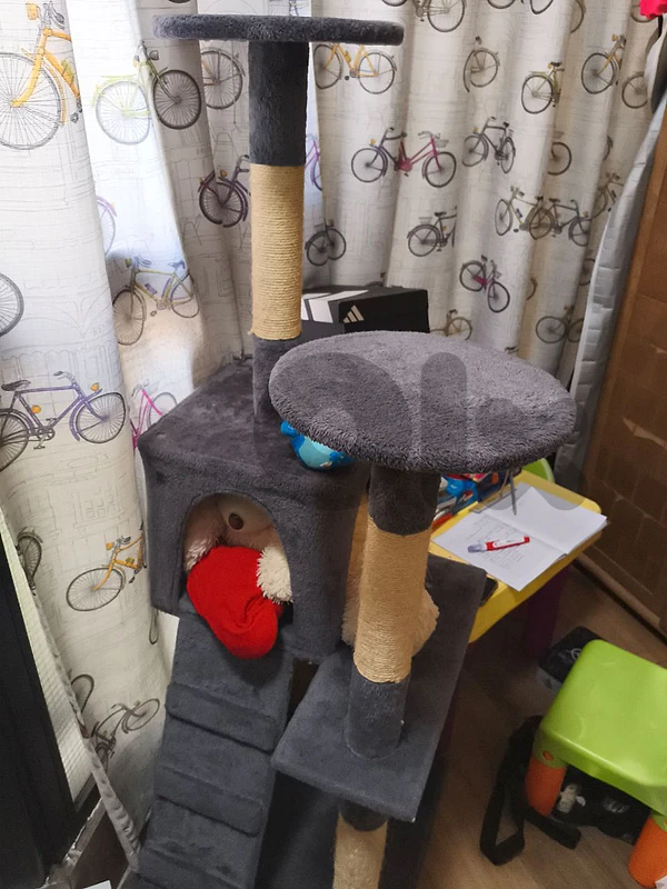 cat house