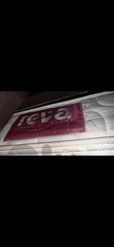 reva (120×195]