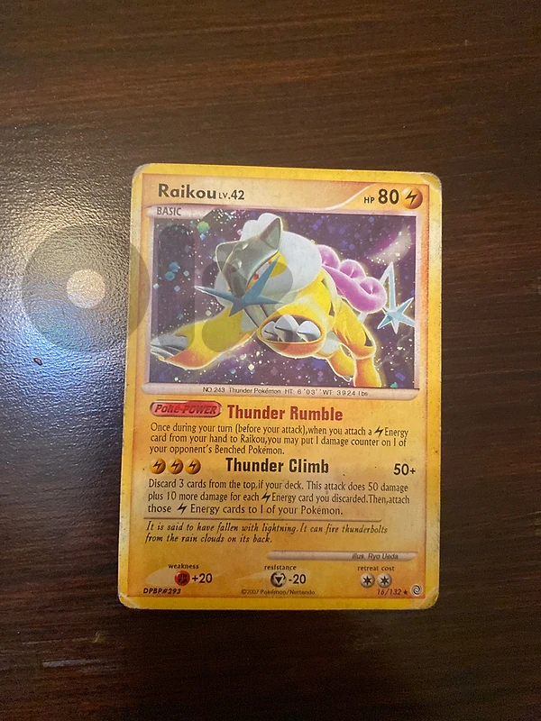 pokèmon raikou