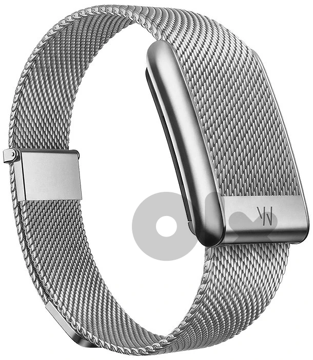 Whoop Meridian Band Alloy