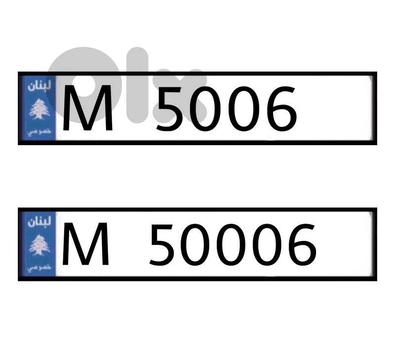 M 5006 & M 50006 M 5006 & M 50006