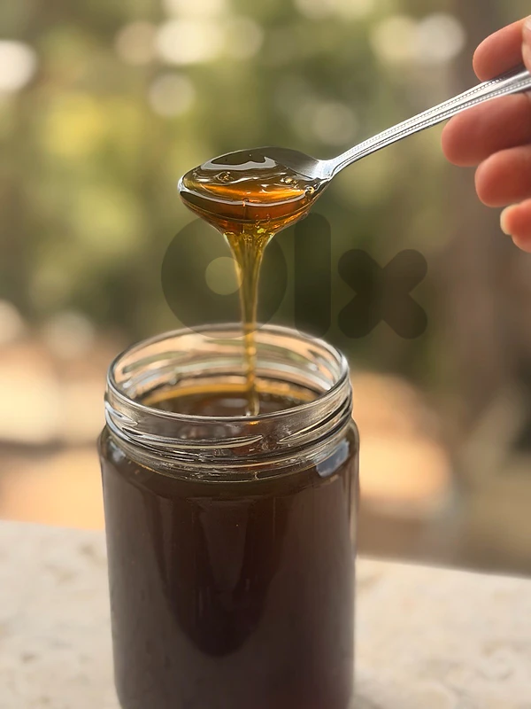 عسل  سنديان طبيعي  ١٠٠٪