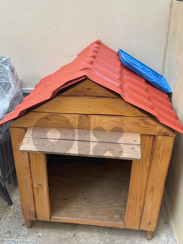 Dog House