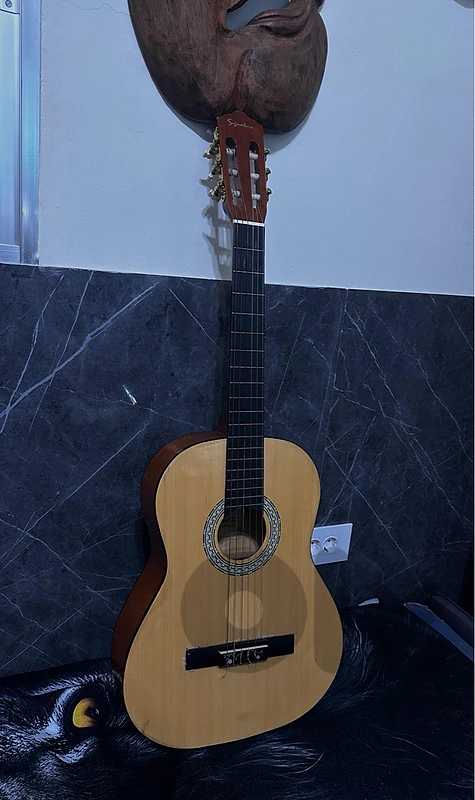 Signature Classic Guitar