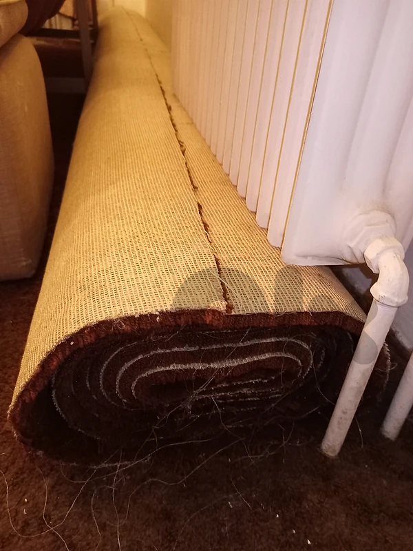 Carpet