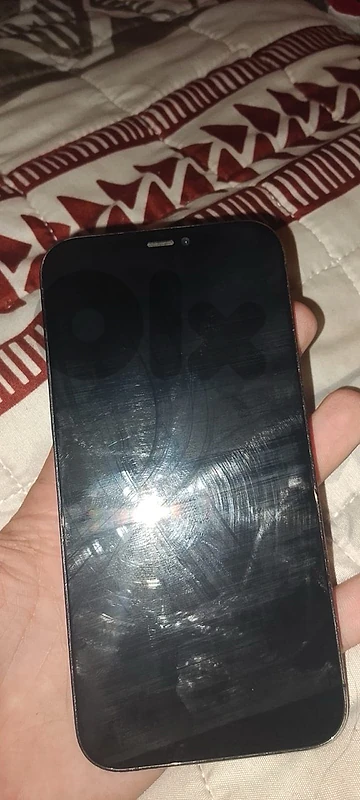 12 pro