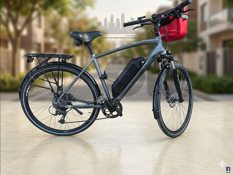 electric bike profete