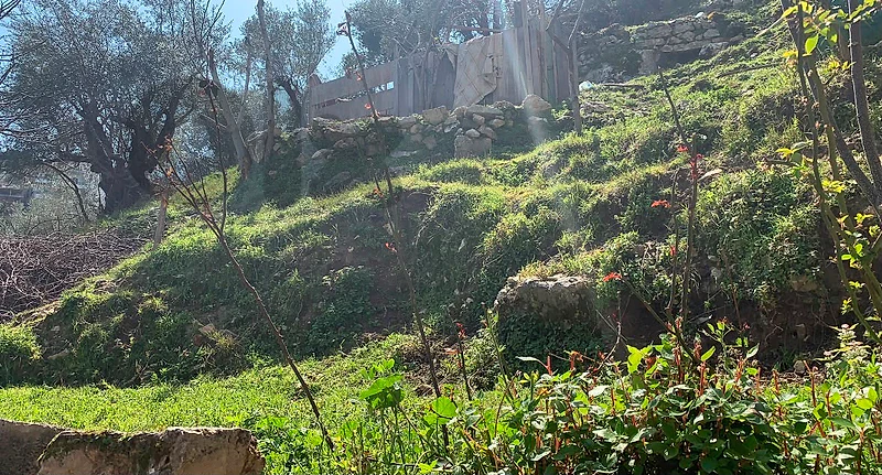 Land for Sale in Barja, Chouf أرض للبيع في برجا، الشوف
