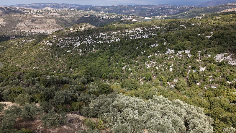 Land for Sale in Boxmaya, Batroun أرض للبيع في بقسميا، البترون