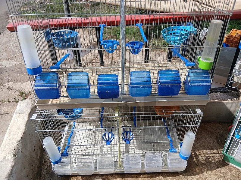 bird cages
