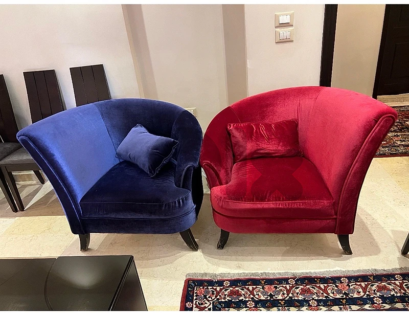 two sofa for salon