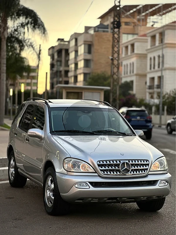 Mercedes Ml 320 2002