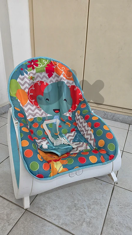 Baby Rocky Bouncer