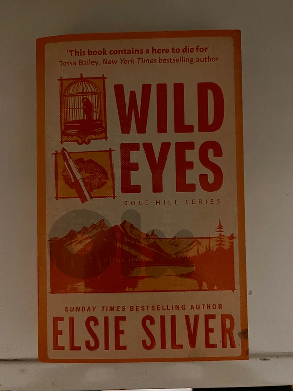 Wild Eyes by Elsie Silver — English Romance Book