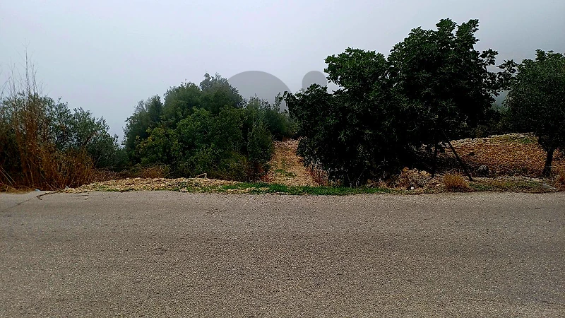 land for sale in Bchaaleh أرض"لقطة" للبيع في بشعلة