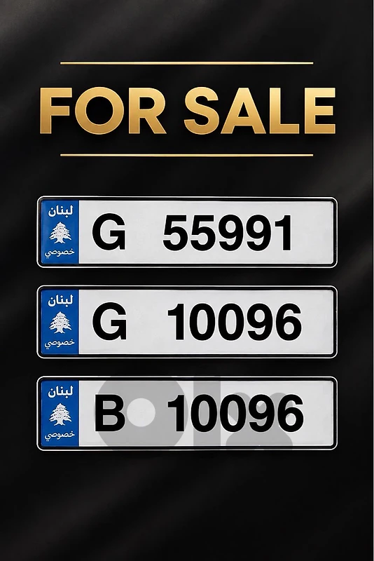 G-10096  B-10096   G-55991