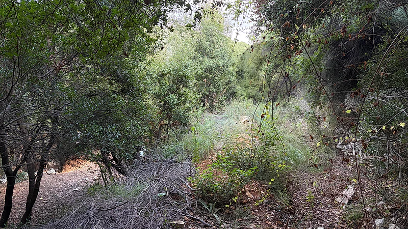 RWB431CA - Land for sale in edde jbeil with sea and mountain view