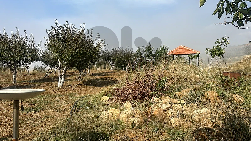 land for sale tarchich