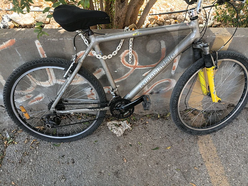 canndole bike
